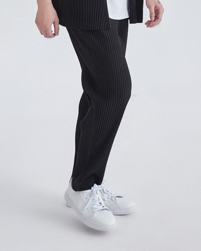 Pleated Trousers